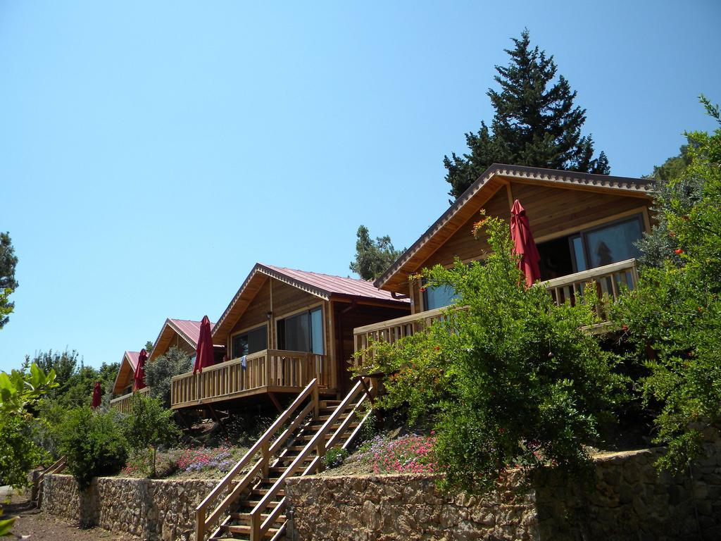 Azra Villas Çıralı Habitación foto