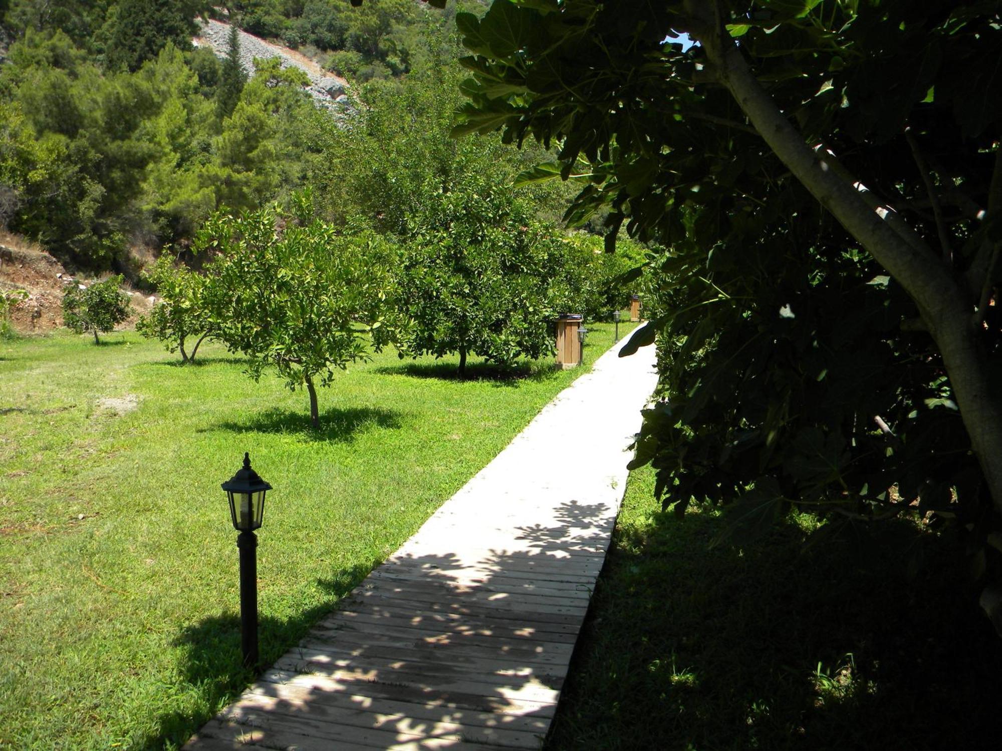 Azra Villas Çıralı Habitación foto