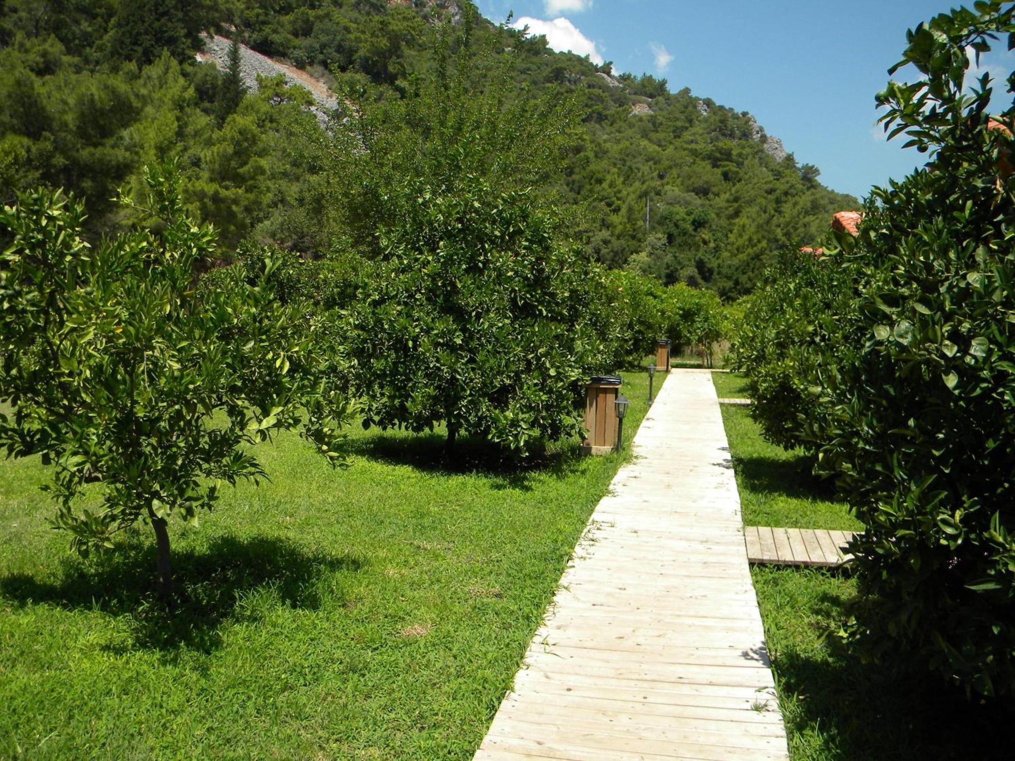 Azra Villas Çıralı Habitación foto